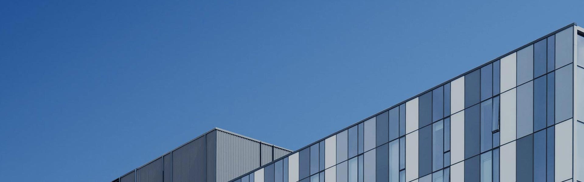 Patakaran sa Privacy